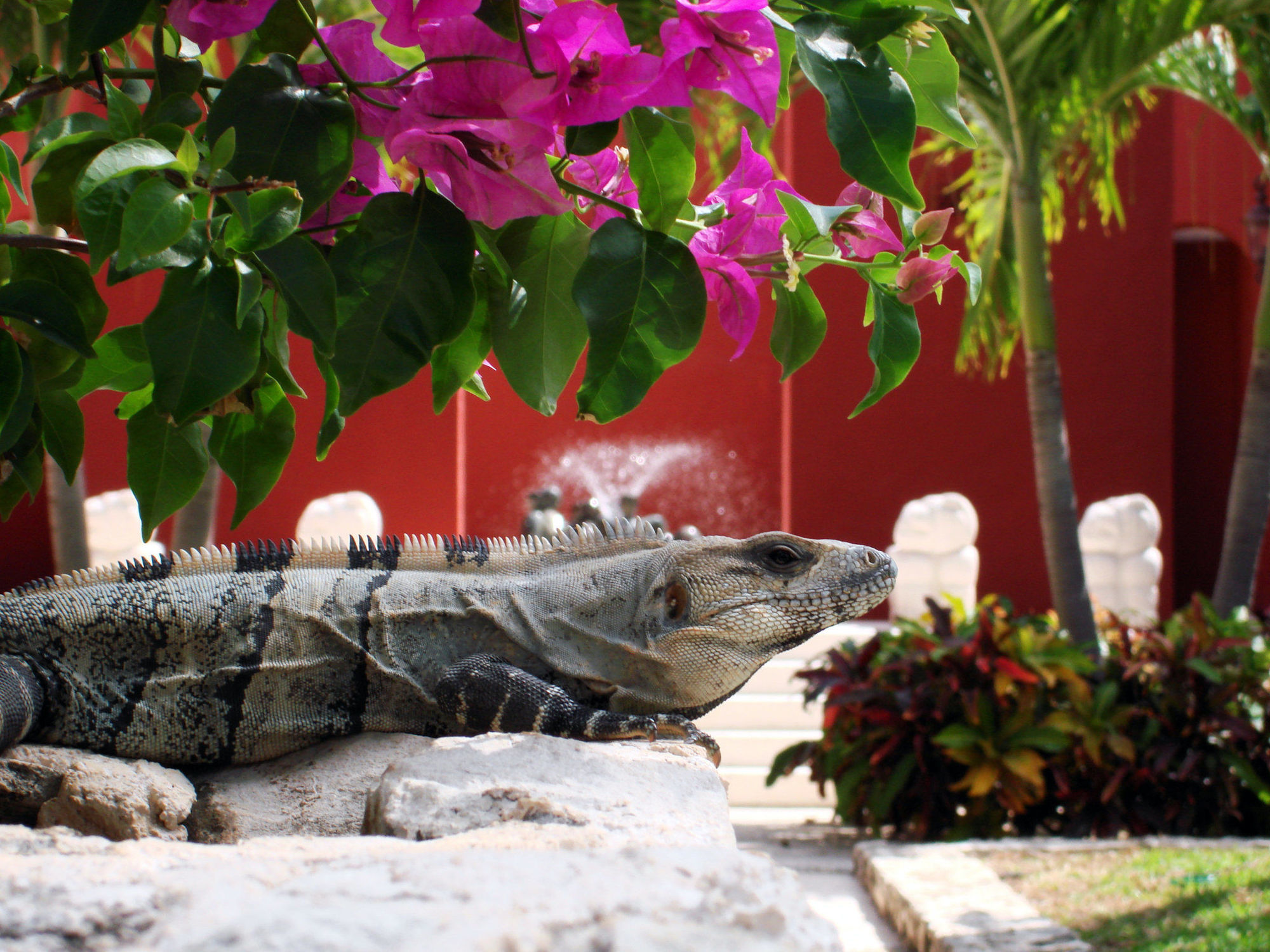 Paraiso De La Bonita Adult All-Inclusive, A Luxury Collection Resort Puerto Morelos Tiện nghi bức ảnh